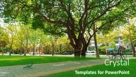  Presentation with beautiful nature - Slide set with city-park-in-day-beautiful background and a forest green colored foreground