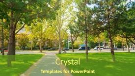  Presentation with paving - Slide set enhanced with city-park-in-day-beautiful background and a tawny brown colored foreground