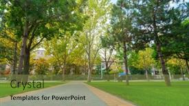  Presentation with beautiful nature - PPT layouts consisting of city-park-in-day-beautiful background and a tawny brown colored foreground