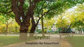  Presentation with beautiful nature - Presentation theme featuring city-park-in-day-beautiful background and a coral colored foreground