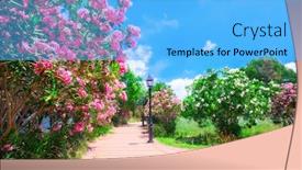  Presentation with park - PPT theme consisting of city-park-with-oleander-bushes background and a light blue colored foreground