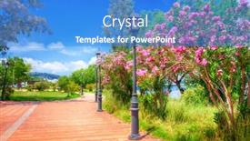  Presentation with park - Theme consisting of city-park-with-oleander-bushes background and a teal colored foreground