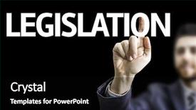  Presentation with civil rights - Presentation having pinhole camera - cat muzzle close-up the cat background and a gray colored foreground.