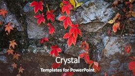  Presentation with autumn leaves - PPT layouts with clambering - autumn natural background red clamberer background and a tawny brown colored foreground