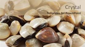  Presentation with clams - Beautiful PPT layouts featuring clams backdrop and a coral colored foreground