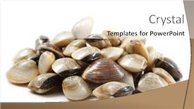  Presentation with clams - 