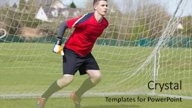  Presentation with save - Cool new presentation design with little bird of turkey in women s hands poultry in a wooden box turkey is a feathered bird on green grass backdrop and a gray colored foreground.