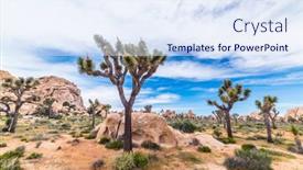  Presentation with joshua tree national park - Audience pleasing slide deck consisting of classic-desert-landscape-in-joshua backdrop and a sky blue colored foreground