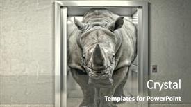  Presentation with elevator - PPT layouts having classic elevator and wild rhino background and a gray colored foreground