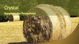  Presentation with hay field - Cool new slide set with classic hay bales in field rural scene backdrop and a tawny brown colored foreground