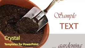  Presentation with clay pot on pottery - Amazing presentation theme having graduation hat vector against boy dressed as senior teacher in front of blackboard backdrop and a light gray colored foreground