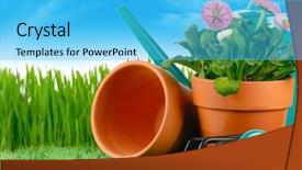  Presentation with garden tools - PPT theme having clay pot - daisy flowers and garden tools background and a cyan colored foreground