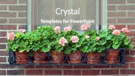  Presentation with iron - Cool new theme with clay pot - geraniums in wrought iron window backdrop and a gray colored foreground