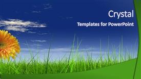  Presentation with blue flower - Presentation design having clean air - high resolution yellow flower background and a navy blue colored foreground