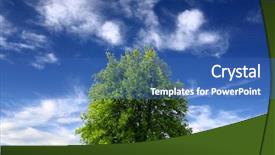  Presentation with clean - Presentation theme having clean and beautiful environment background and a teal colored foreground