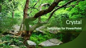  Presentation with energy and water conservation - Slide deck with clean energy - tree and water in jungle background and a  colored foreground