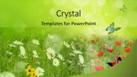  Presentation with country western spring - Beautiful slide deck featuring clean environment - fresh spring background backdrop and a yellow colored foreground