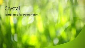  Presentation with blurred bokeh - PPT theme having clean environment - green grass blurred in-camera background and a yellow colored foreground