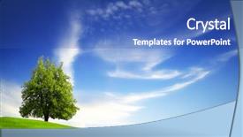  Presentation with green tree - PPT layouts featuring clean environment - green tree on blue sky background and a ocean colored foreground