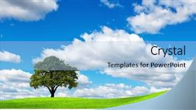  Presentation with ecology - Colorful PPT layouts enhanced with clean environment - summer ecology banner backdrop and a  colored foreground