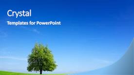  Presentation with green tree - PPT theme enhanced with clean environment - tree on green meadow background and a cobalt blue colored foreground