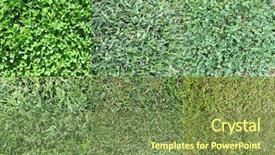  Presentation with clean - Slides consisting of clean environment - various grass types background and a tawny brown colored foreground