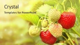  Presentation with fresh strawberry glass of berry - Presentation design enhanced with clean food - bright ripe berrys background and a blonde colored foreground