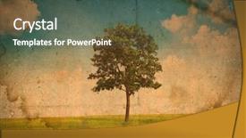  Presentation with grass texture on green - PPT theme featuring clean greeen - vintage of field with green background and a ocean colored foreground