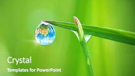  Presentation with green planet - Amazing PPT layouts having clean green - planet earth in dew macro backdrop and a shamrock green colored foreground