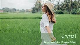 Presentation with rice field - PPT theme consisting of discover - young girl walking in rice background and a tawny brown colored foreground