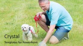  Presentation with plastic bag - Beautiful presentation theme featuring poop - owner cleaning up backdrop and a mint green colored foreground