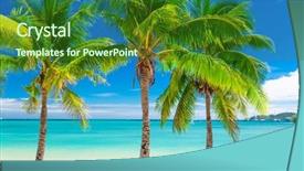  Presentation with palm beach - Cool new theme with clear lagoon on fiji islands backdrop and a forest green colored foreground