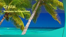  Presentation with palm beach - Amazing slide deck having clear lagoon on fiji islands backdrop and a tawny brown colored foreground