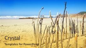  Presentation with south beach - PPT layouts enhanced with clear sky over indian ocean and a piece of beach noetzi south africa background and a yellow colored foreground