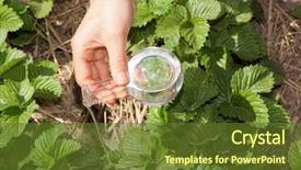  Presentation with soil fertilizer - PPT layouts featuring clear water or fertilizer background and a  colored foreground