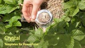  Presentation with soil fertilizer - Cool new PPT theme with clear water or fertilizer backdrop and a  colored foreground