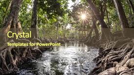  Presentation with krabi - Presentation enhanced with clear water tha pom canal background and a tawny brown colored foreground