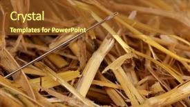  Presentation with needle - PPT layouts having cliche - needle in a haystack close-up background and a  colored foreground