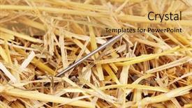  Presentation with needle - PPT theme having cliche - needle in a haystack close-up background and a  colored foreground