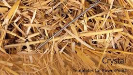  Presentation with needle - Slide deck having cliche - needle in a haystack close-up background and a  colored foreground