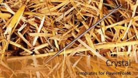  Presentation with needle - Slide deck with cliche - needle in a haystack close-up background and a gold colored foreground