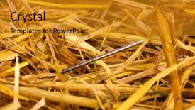  Presentation with needle - Presentation theme having cliche - needle in a haystack close-up background and a gold colored foreground