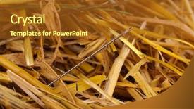  Presentation with needle - PPT theme enhanced with cliche - needle in a haystack close-up background and a  colored foreground