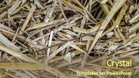  Presentation with needle - Colorful theme enhanced with cliche - needle in haystack backdrop and a  colored foreground