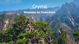  Presentation with pine - Colorful theme enhanced with cliff at towangpok observatory viewpoint backdrop and a teal colored foreground