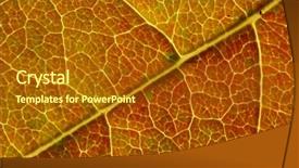  Presentation with yellow green - PPT theme having beautiful slim girl sitting on a stool and looking confidently forward background and a light gray colored foreground