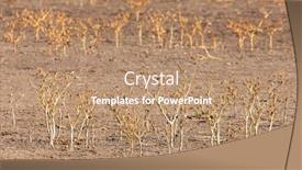  Presentation with drought - PPT theme having climate-change-the-desert-areas background and a coral colored foreground