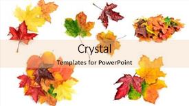  Presentation with fall leaves - Beautiful presentation theme featuring climate collage - collection of fall maple leaves backdrop and a yellow colored foreground