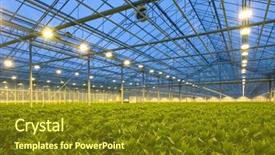  Presentation with growing - Presentation design with climate control - glasshouse growing endless rows background and a  colored foreground