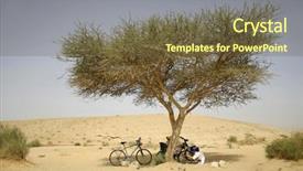  Presentation with tree in sinai desert - Audience pleasing theme consisting of climbing cycling - cyclists under tree in sede backdrop and a tawny brown colored foreground